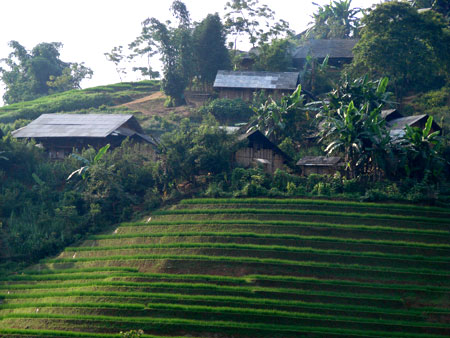 red dao ethnic people