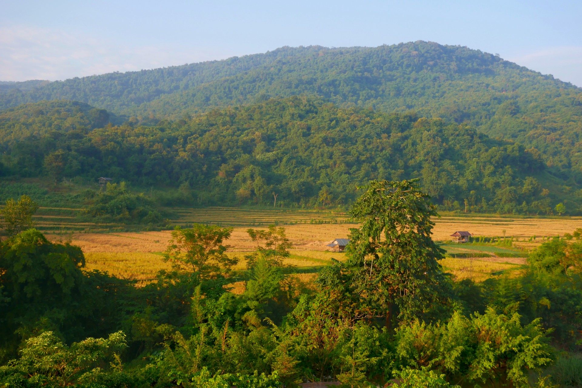 red dao ethnic people