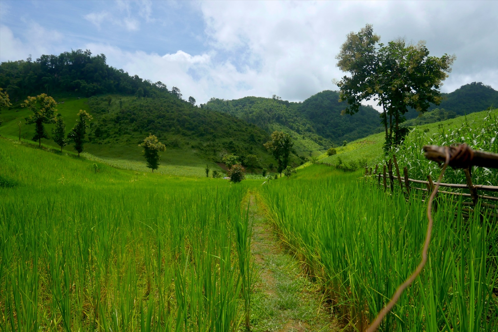 red dao ethnic people