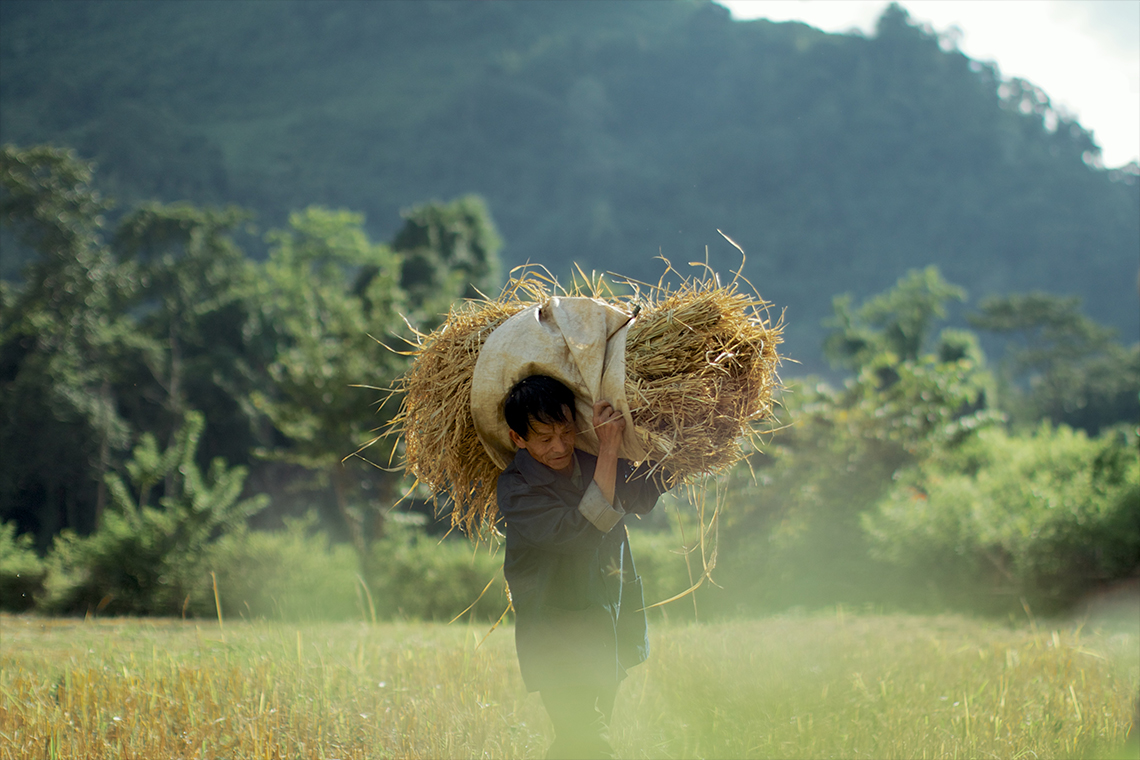 red dao ethnic people